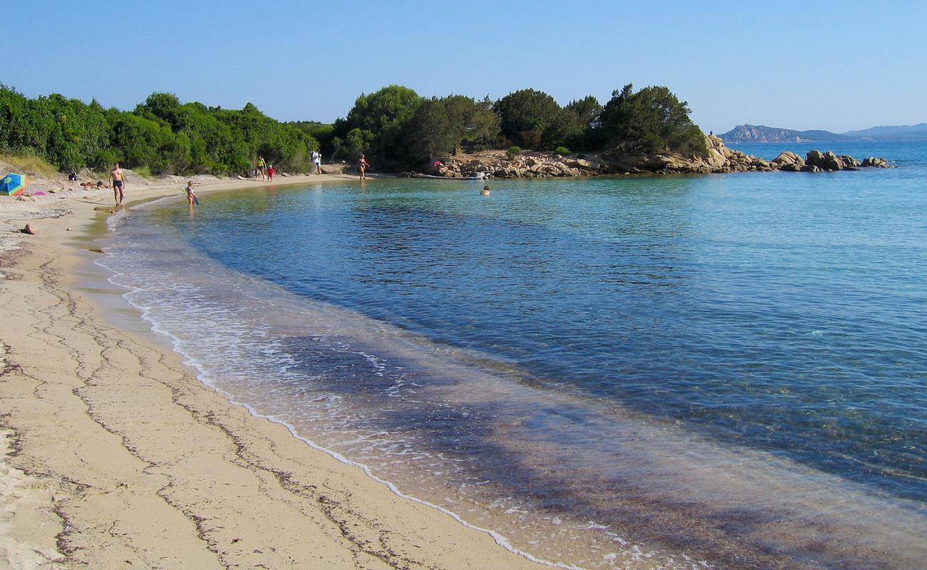 Spiaggia Le Piscine'in fotoğrafı parlak kum yüzey ile