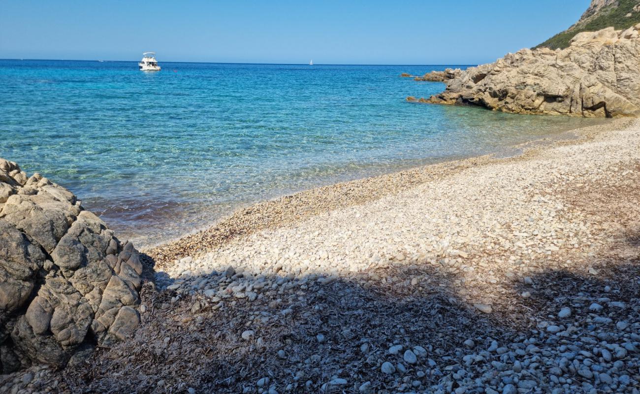 Cala del Sonno'in fotoğrafı gri çakıl taşı yüzey ile