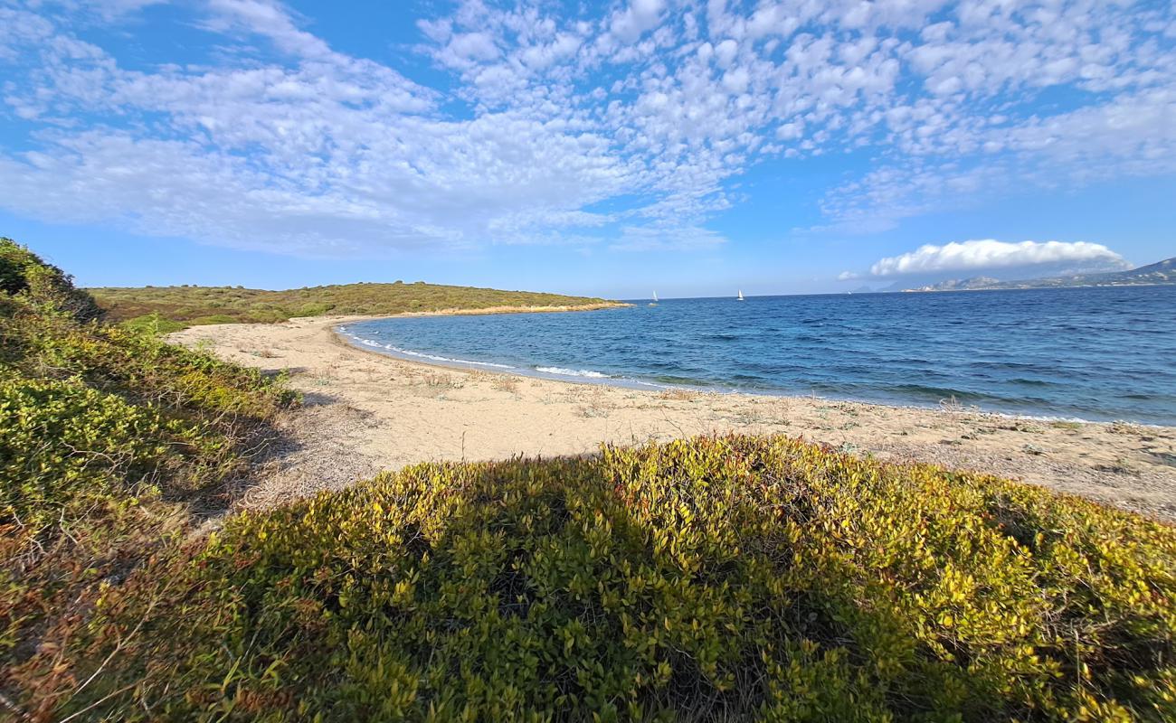 Vecchia Dogana Beach'in fotoğrafı açık bej kum yüzey ile