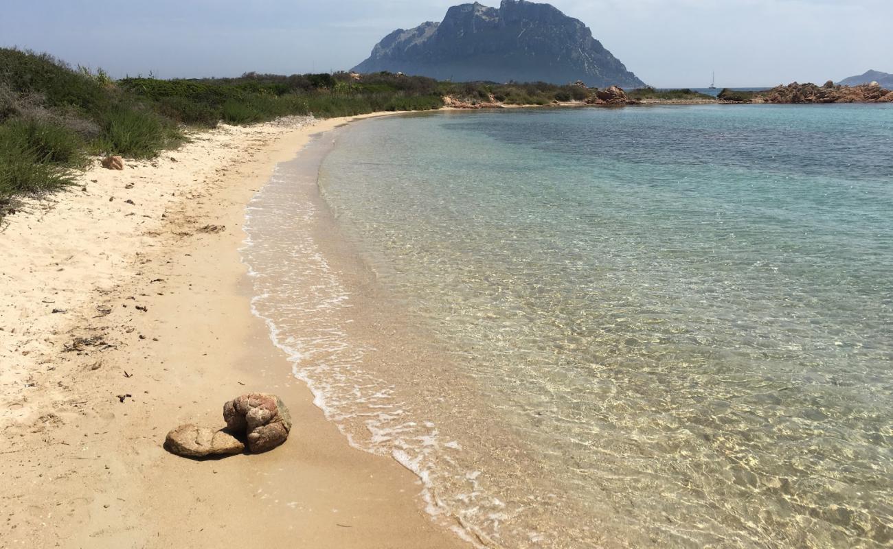 Spiaggia Isola dei Cavalli'in fotoğrafı parlak kum yüzey ile