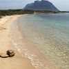 Spiaggia Isola dei Cavalli