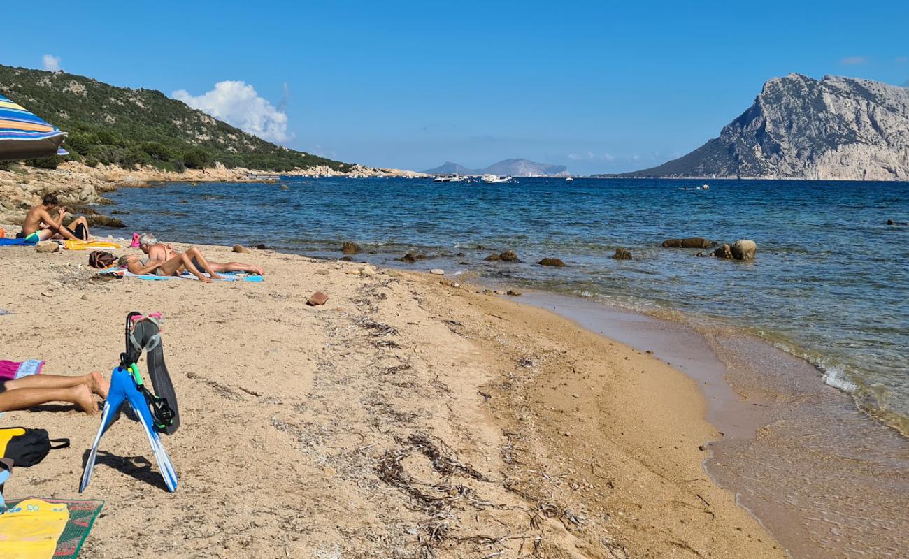 Cala Macchia Beach'in fotoğrafı parlak kum yüzey ile