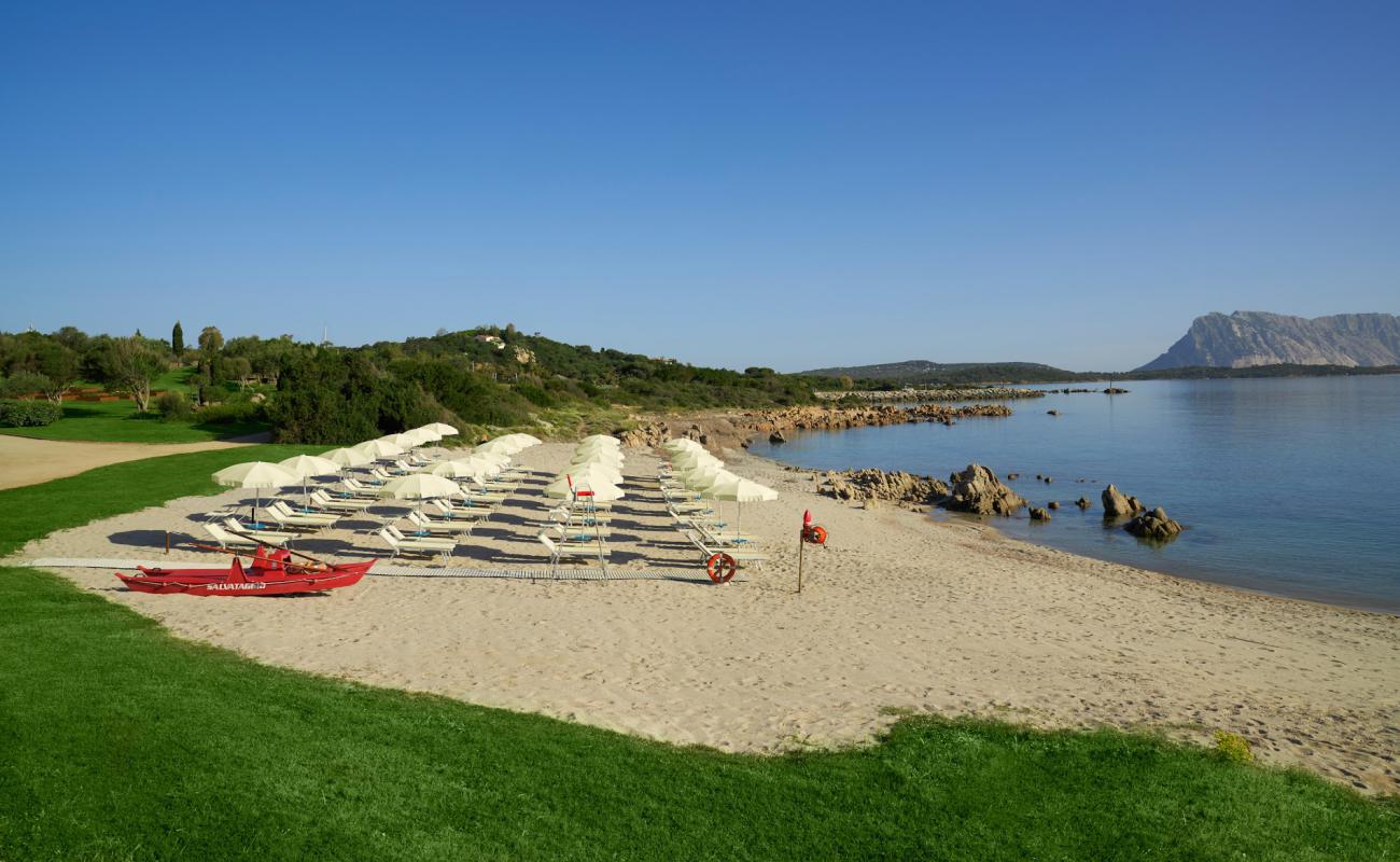 Caletta delle Lune'in fotoğrafı açık bej kum yüzey ile