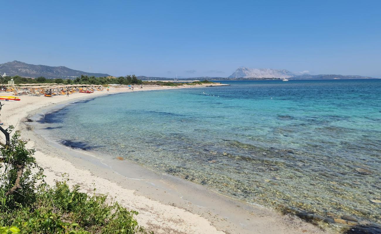 Spiaggia del Veraclub Amasea'in fotoğrafı parlak kum yüzey ile