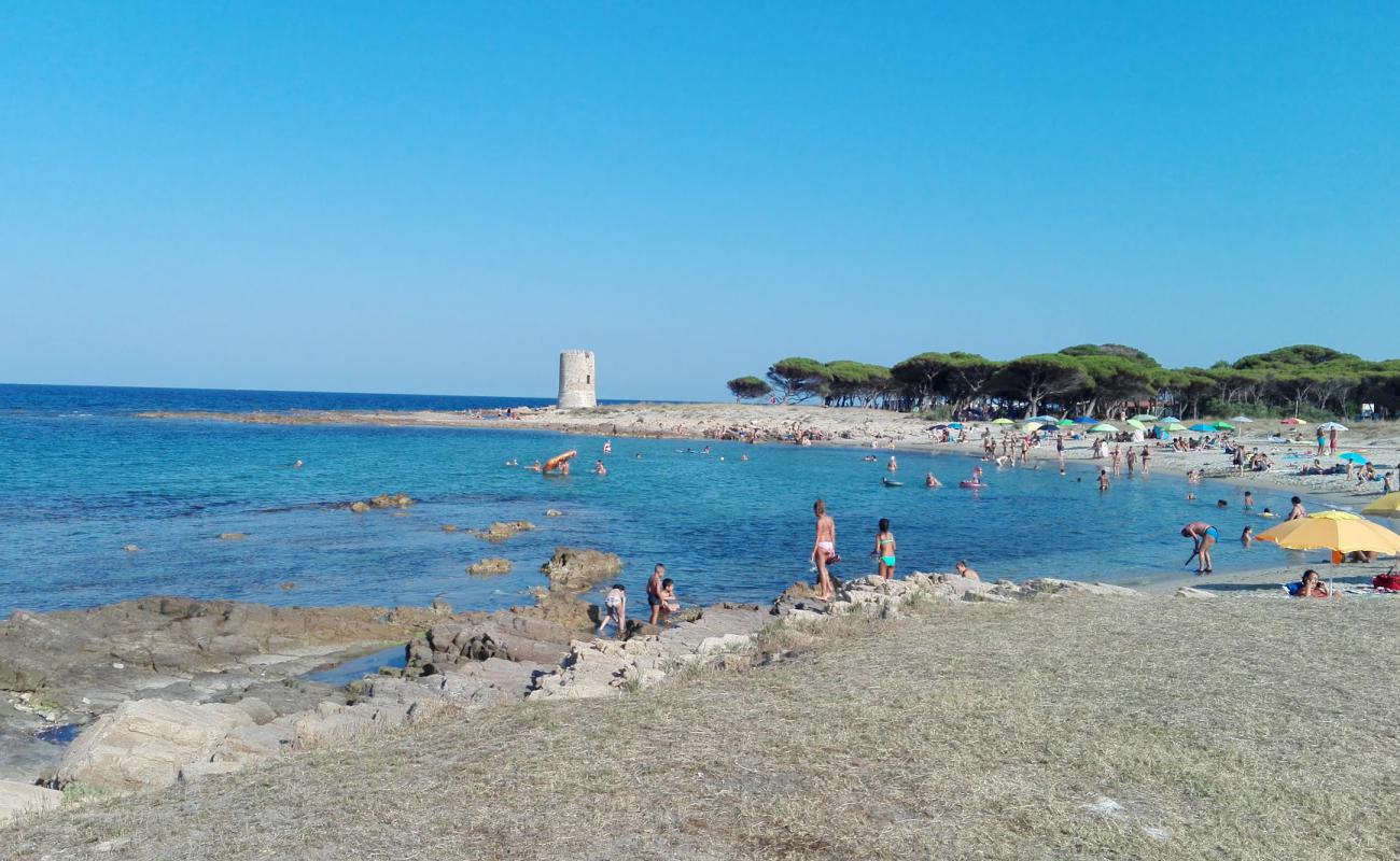 Spiaggia di Torre San Giovanni'in fotoğrafı parlak kum yüzey ile