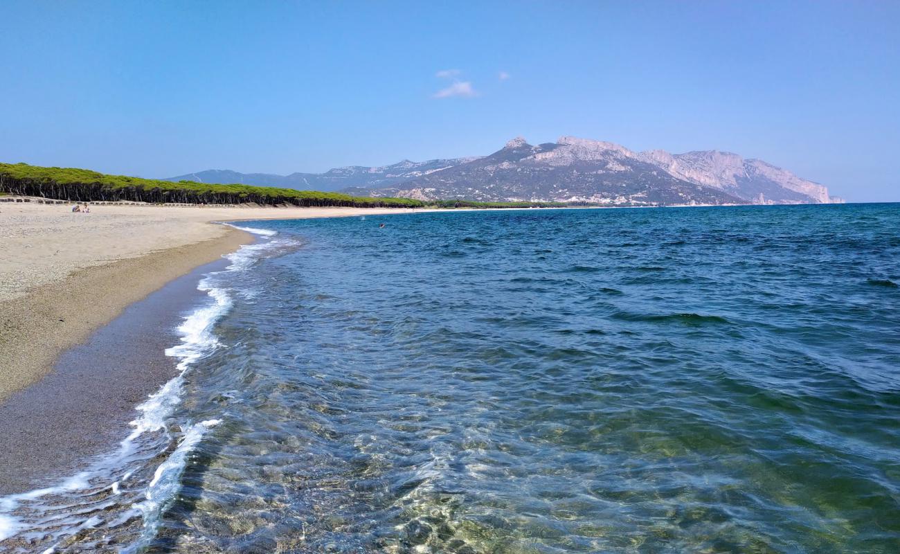 Spiaggia di Isula Manna'in fotoğrafı parlak kum yüzey ile