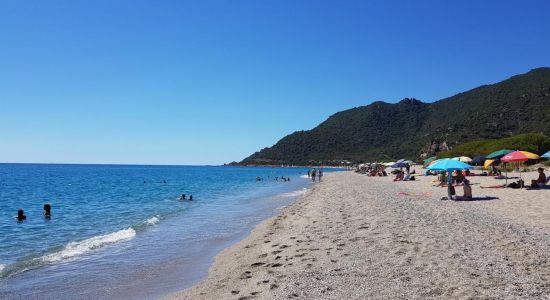 Spiaggia di Museddu