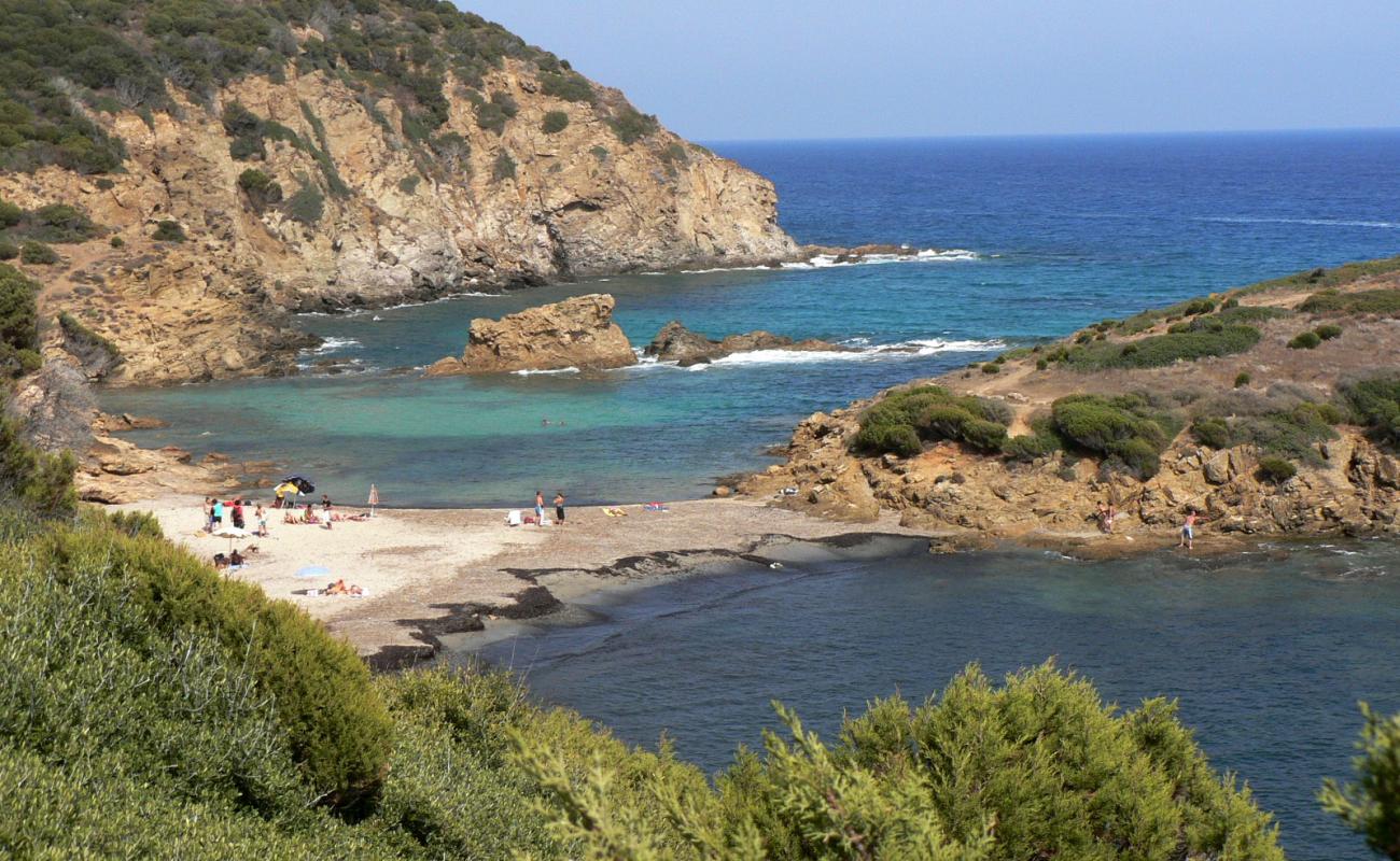 Cala Petra Delfina'in fotoğrafı açık bej kum yüzey ile