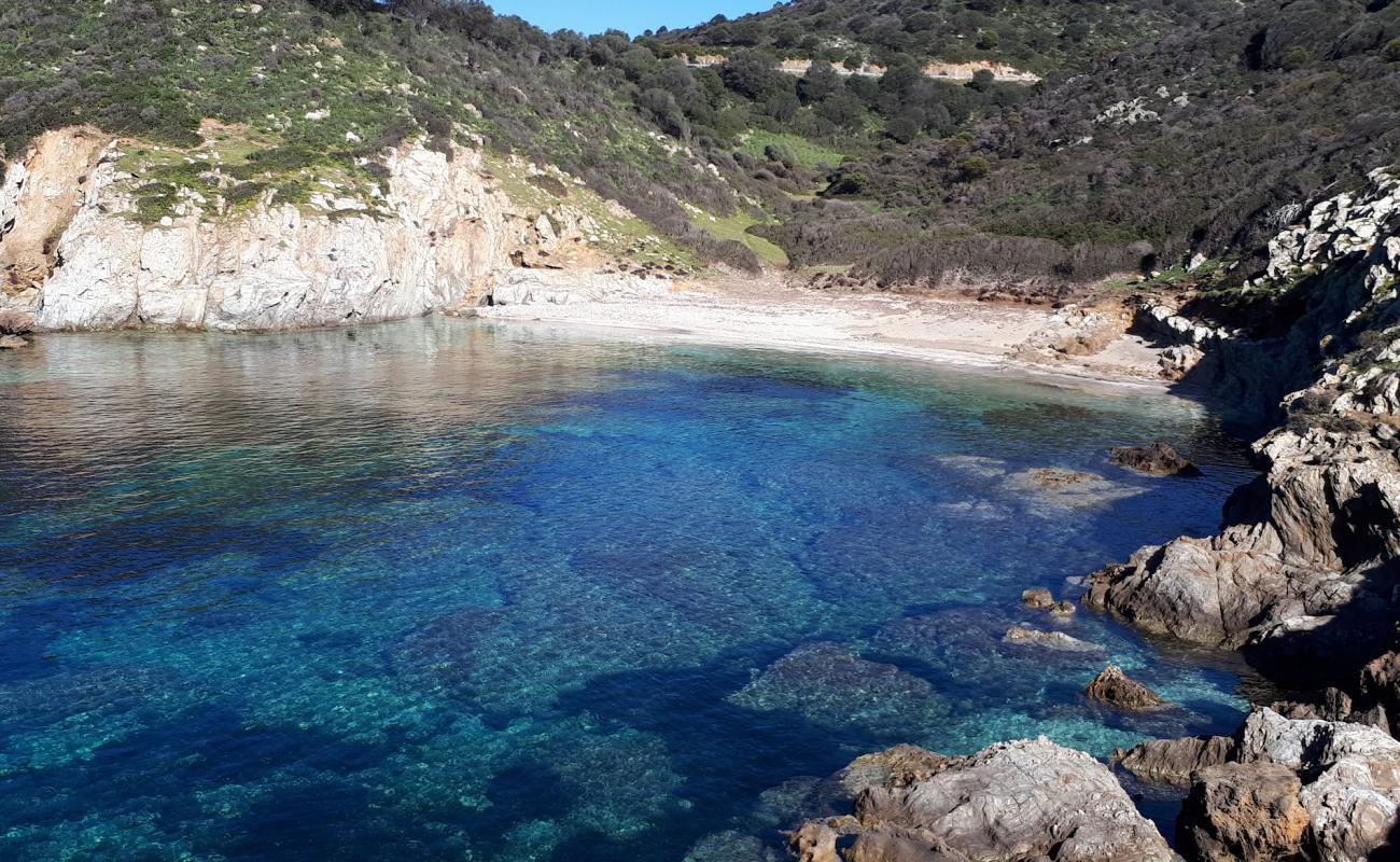 Cala Is Crabas'in fotoğrafı parlak kum yüzey ile