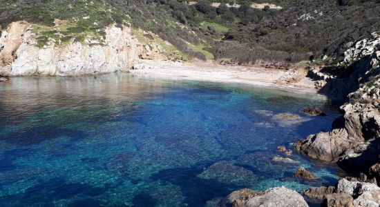 Cala Is Crabas