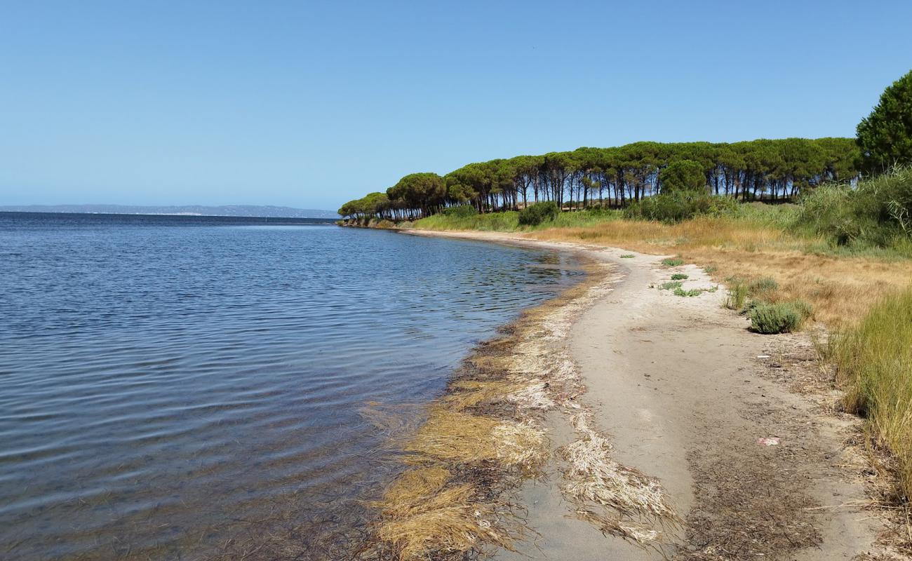 Corongiuali Beach'in fotoğrafı açık bej kum yüzey ile