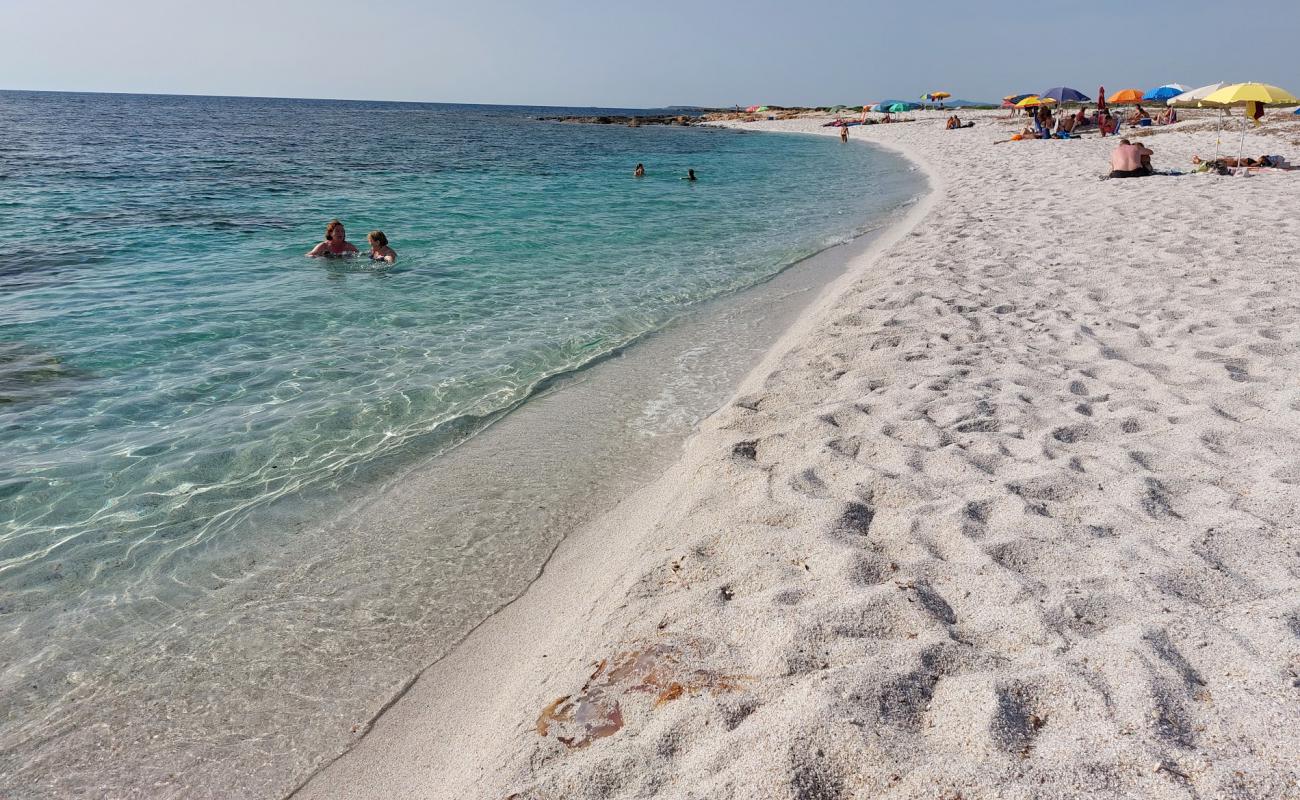 Spiaggia Corrighias'in fotoğrafı parlak kum yüzey ile