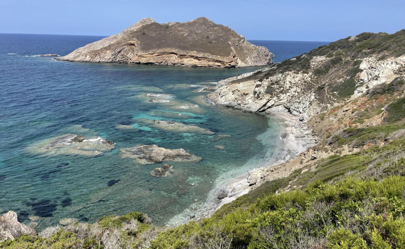 Cala Isola dei Porri Beach'in fotoğrafı bej kum ve kayalar yüzey ile