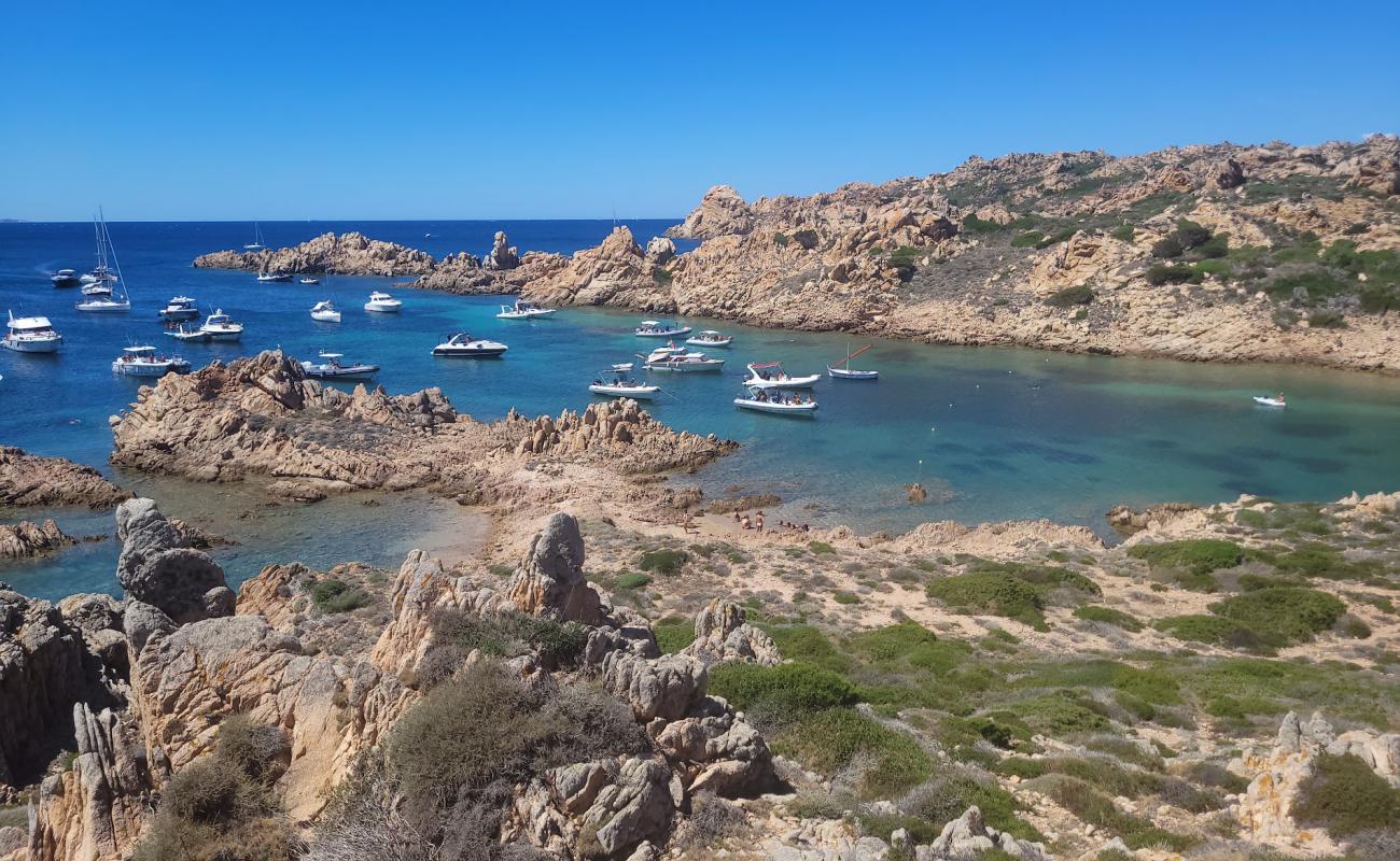 Lunga Cove'in fotoğrafı kayalık arazi yüzey ile