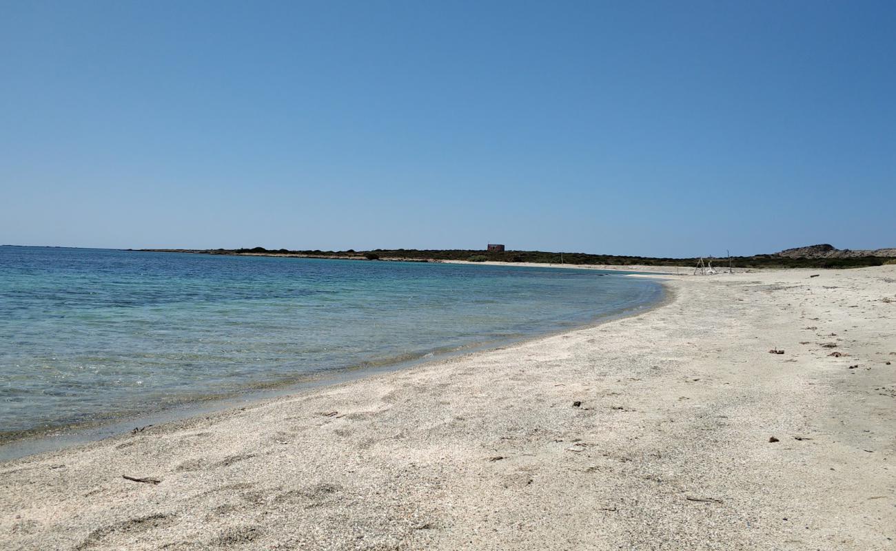 Spiaggia dello Spalmatore all'Asinara'in fotoğrafı hafif ince çakıl taş yüzey ile