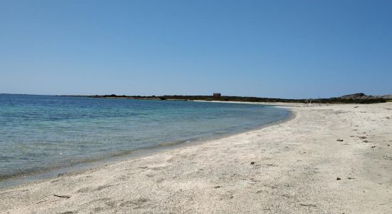 Spiaggia dello Spalmatore all'Asinara