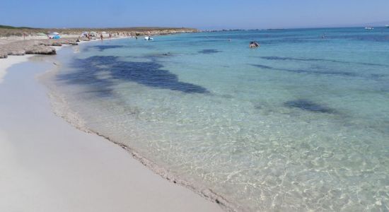 Spiaggia le Saline