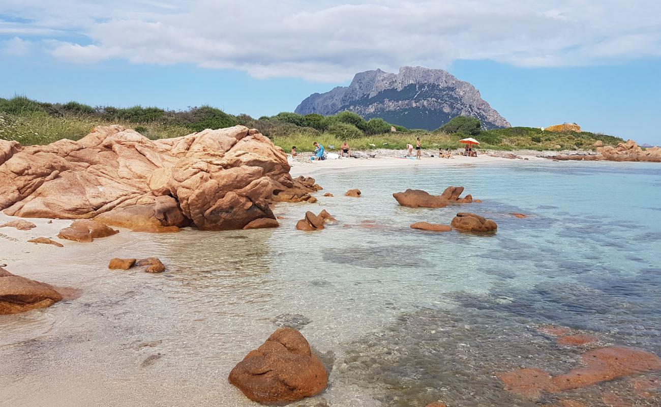 Spiaggia dell'Isola Piana'in fotoğrafı parlak kum yüzey ile