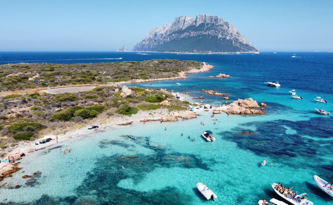 Spiaggia Sud di Isola Piana'in fotoğrafı parlak kum yüzey ile