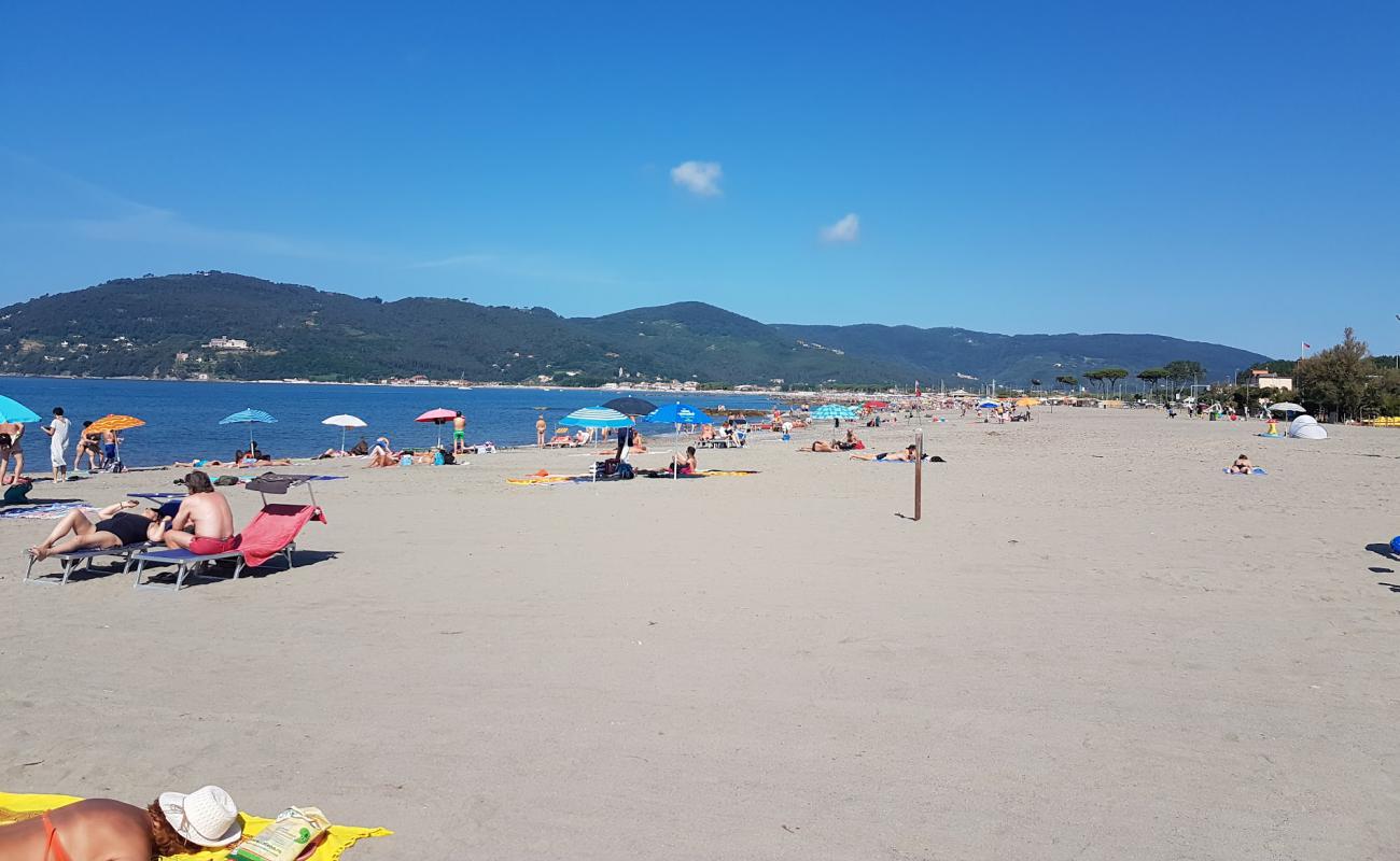 Marinella di Sarzana Beach'in fotoğrafı i̇nce bej kum yüzey ile