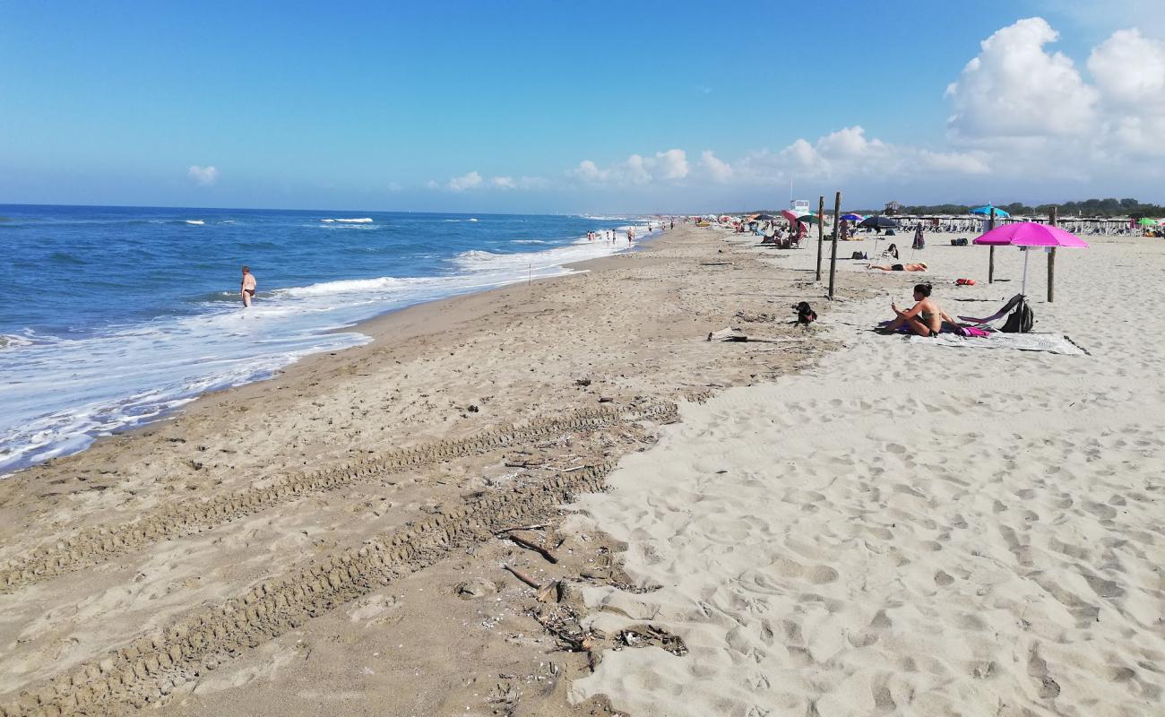 Spiaggia di Vecchiano'in fotoğrafı parlak kum yüzey ile