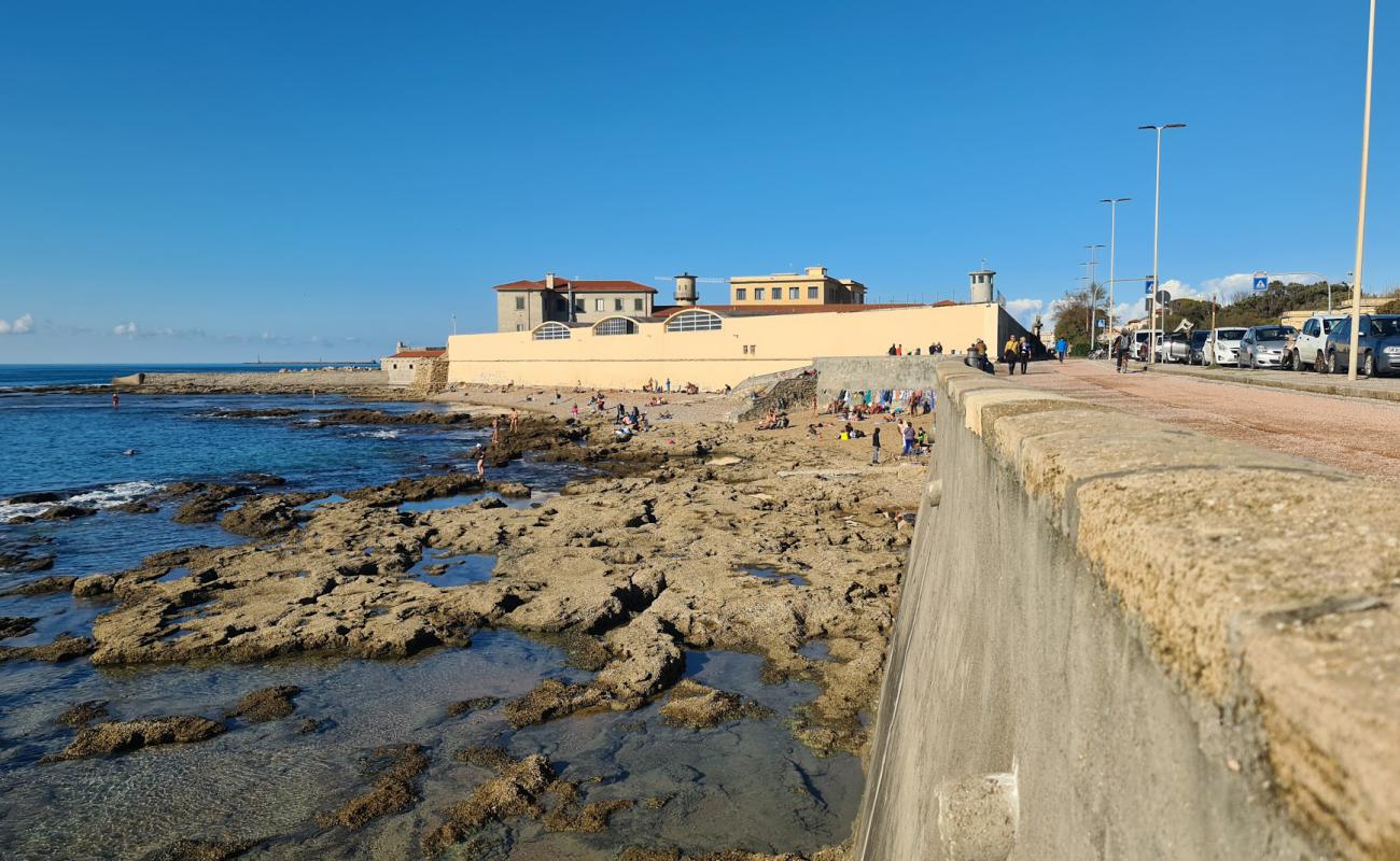 Scogli dell'Accademia'in fotoğrafı rocky shore yüzey ile