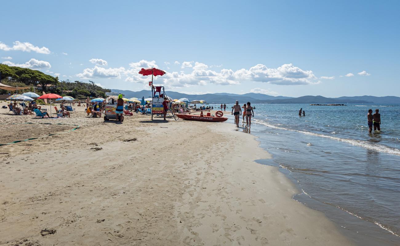 Spiaggia Golfo del Sole'in fotoğrafı parlak kum yüzey ile