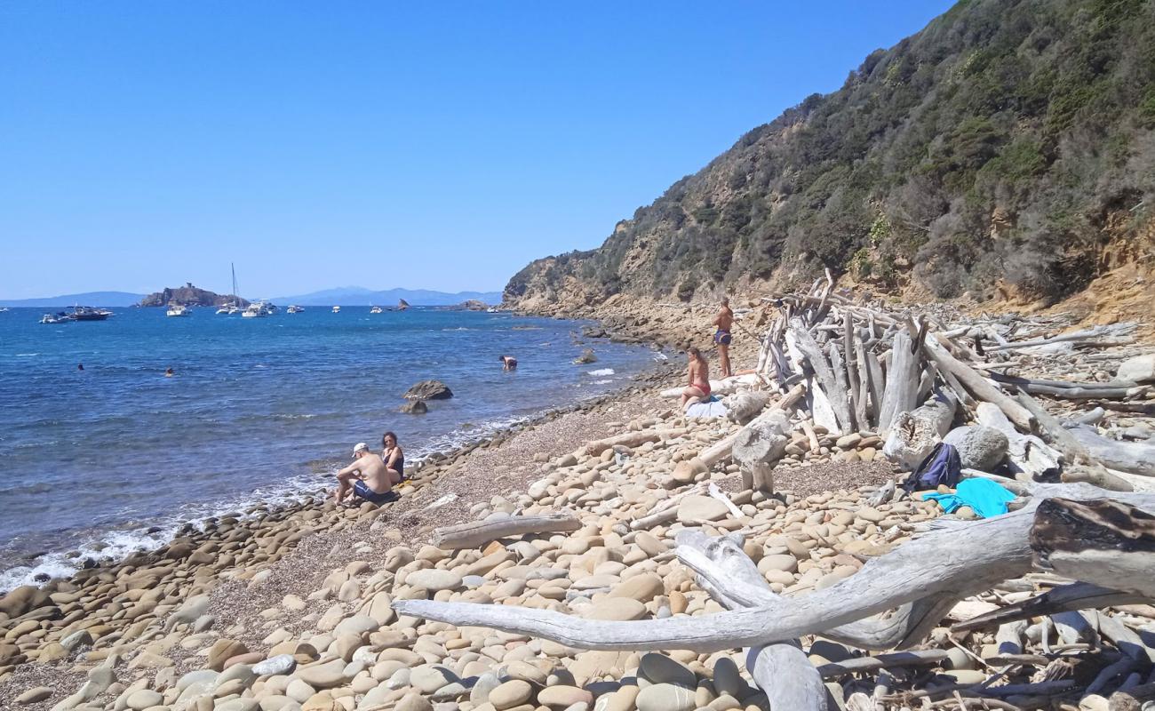 Cala Tartana'in fotoğrafı kayalık arazi yüzey ile