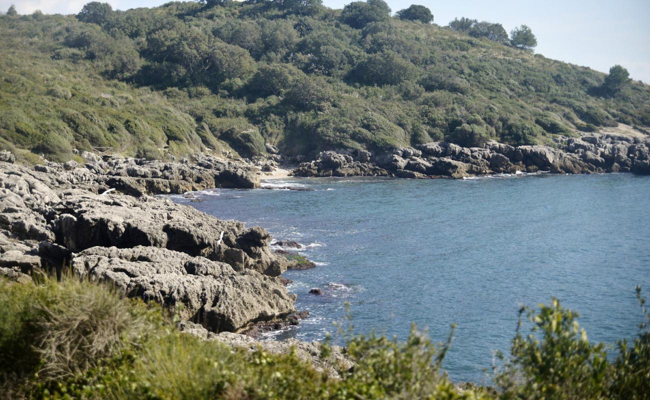 Spiaggia di Porto Cofaniello'in fotoğrafı hafif çakıl yüzey ile