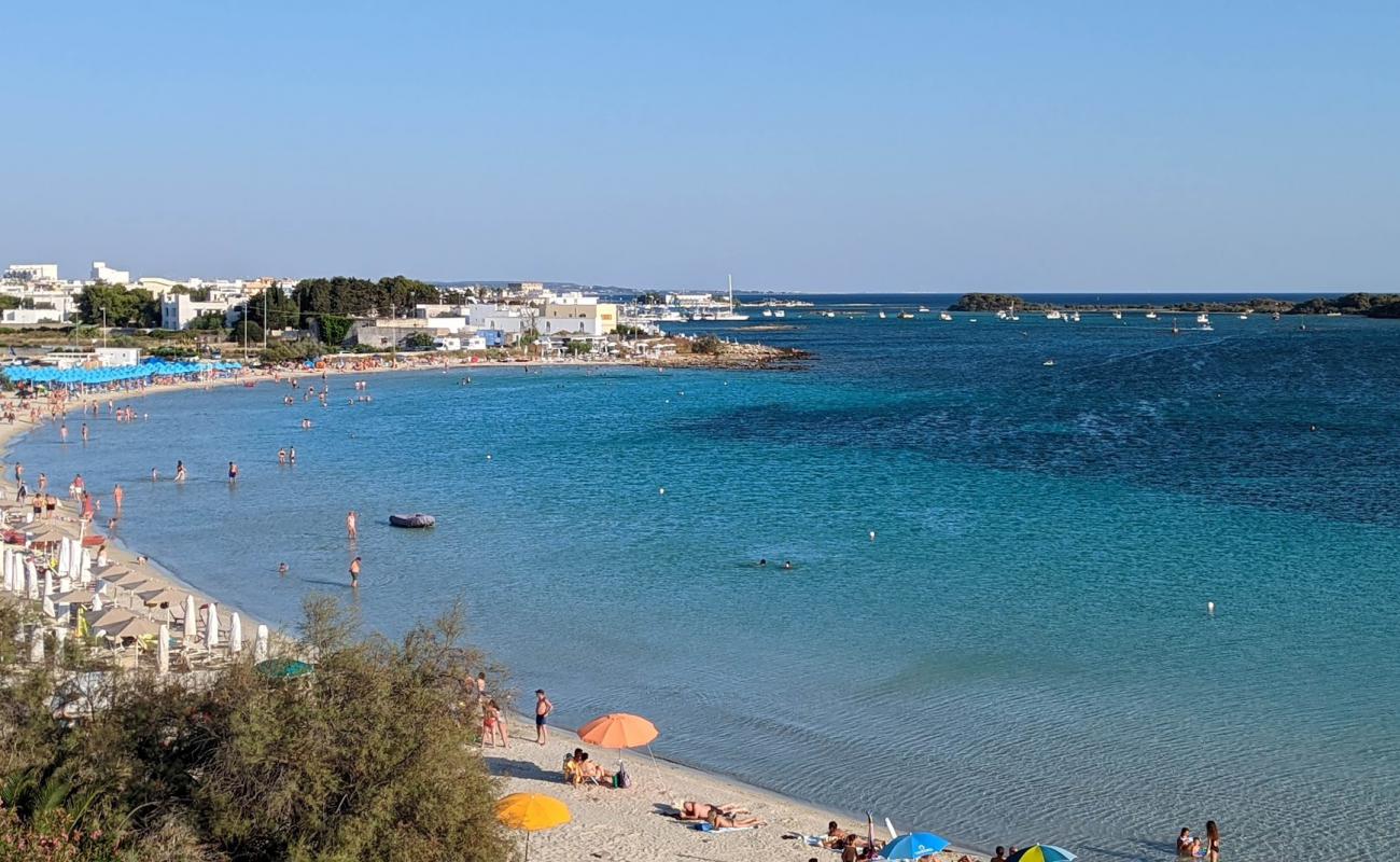Spiaggia dell Lido Dei Pirati'in fotoğrafı i̇nce bej kum yüzey ile