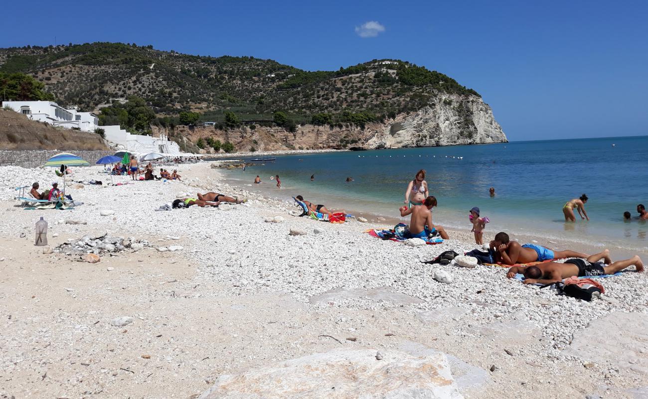 Tor di Lupo Beach'in fotoğrafı bej çakıl yüzey ile