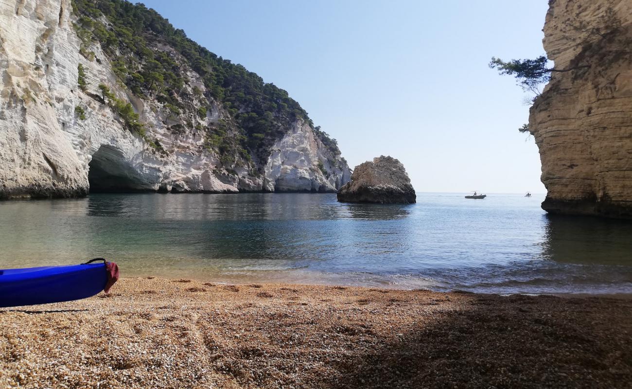 Spiaggia di Baia del Leone'in fotoğrafı hafif ince çakıl taş yüzey ile