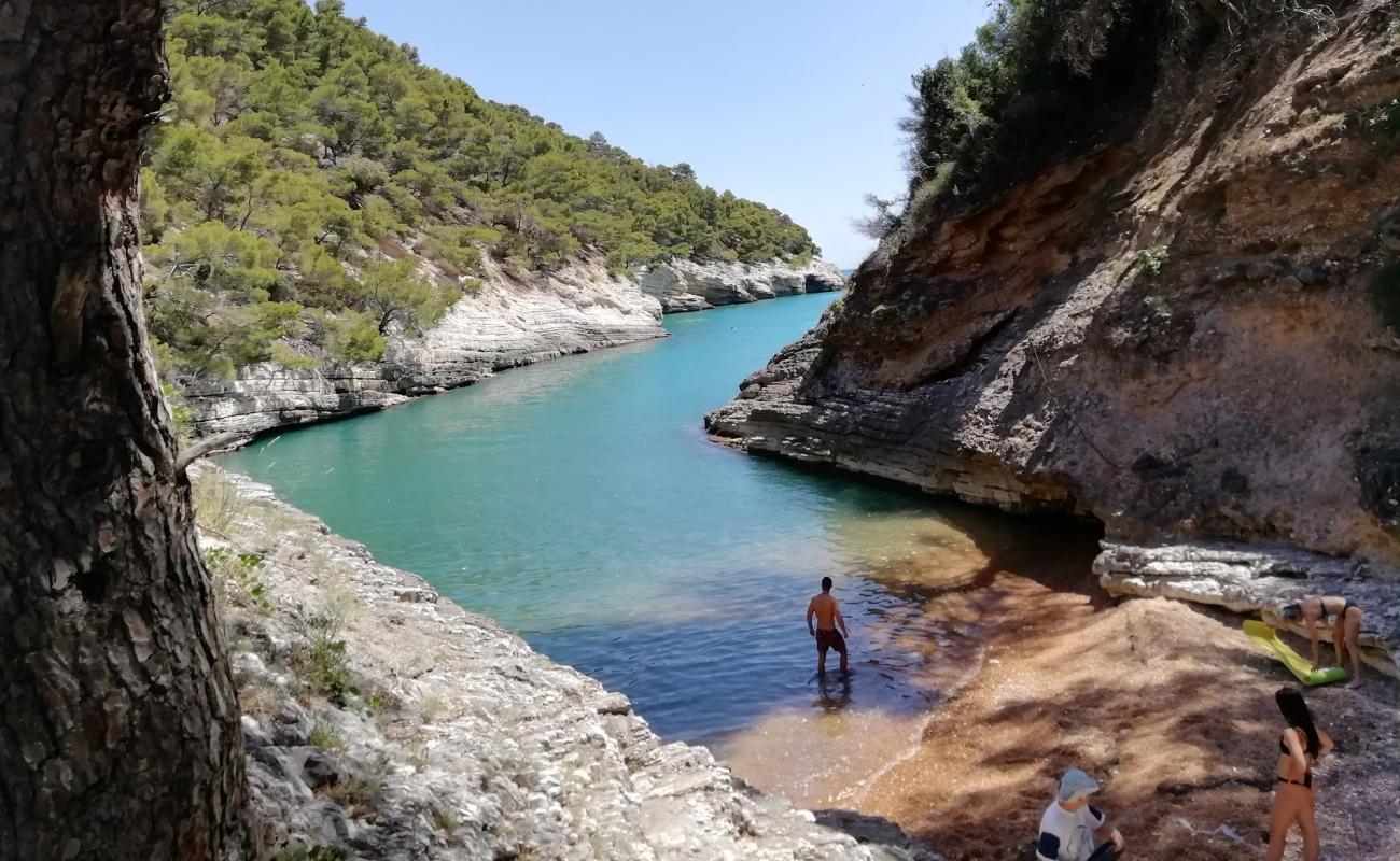 Cala della Sanguinara Beach'in fotoğrafı bej çakıl yüzey ile
