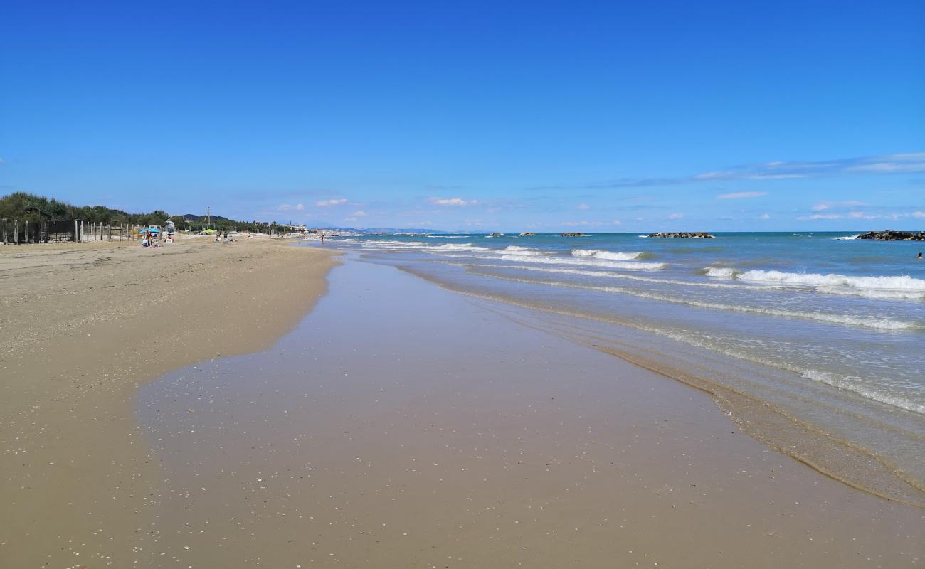 Spiaggia del Foro di Ortona'in fotoğrafı parlak kum yüzey ile