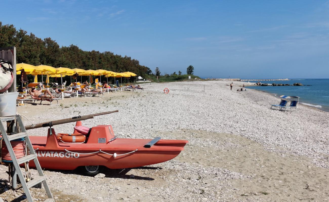 Scerne Beach'in fotoğrafı gri çakıl taşı yüzey ile