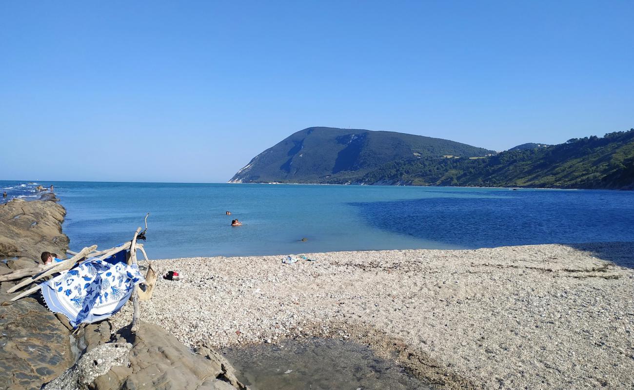 Trave Beach'in fotoğrafı kayalık arazi yüzey ile