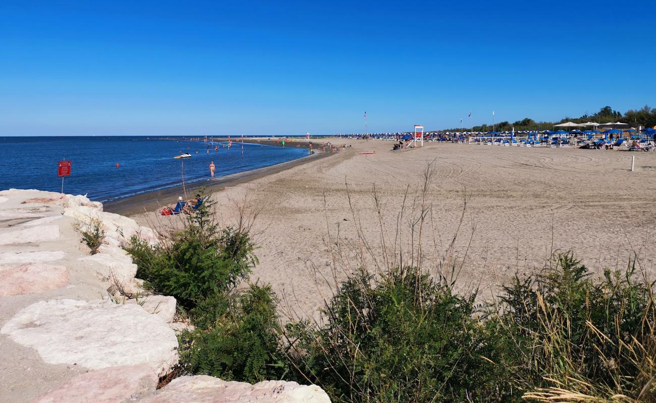 Isola Albarella Beach'in fotoğrafı açık bej kum yüzey ile