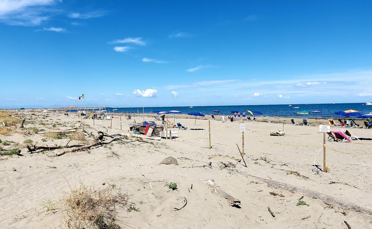 Ca Roman Beach'in fotoğrafı açık bej kum yüzey ile
