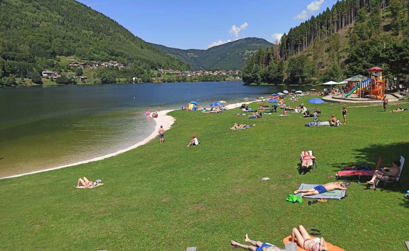 Balneare Beach'in fotoğrafı çim yüzey ile