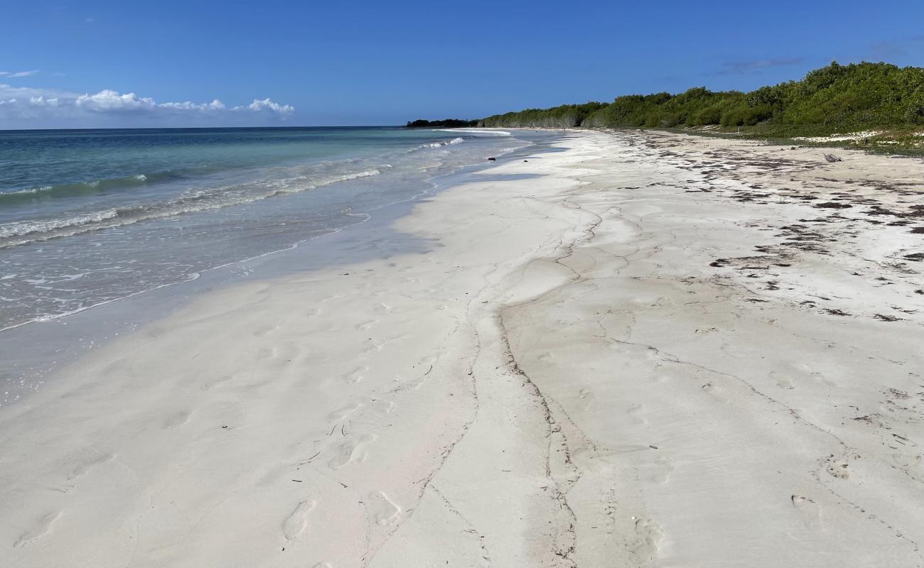 Jackson Bay Beach'in fotoğrafı i̇nce bej kum yüzey ile