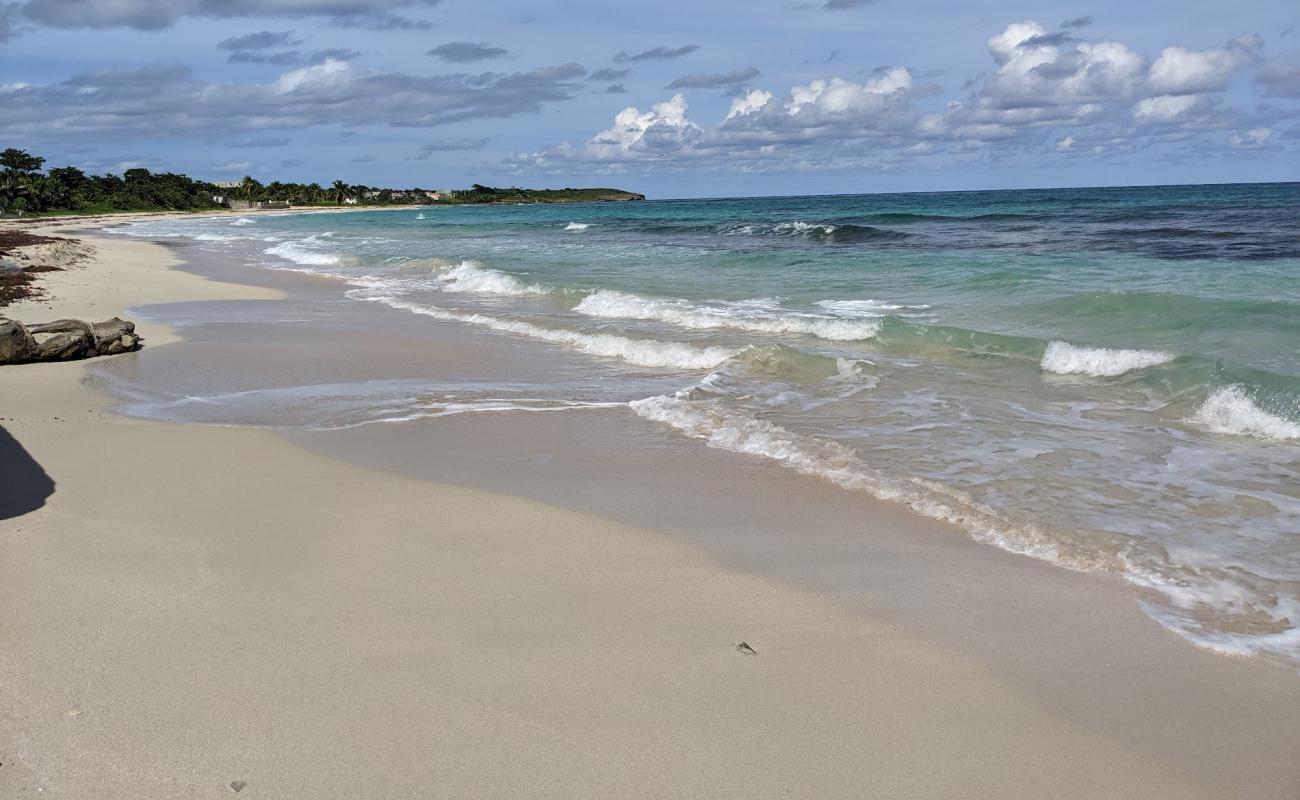 Long Bay Beach'in fotoğrafı i̇nce bej kum yüzey ile