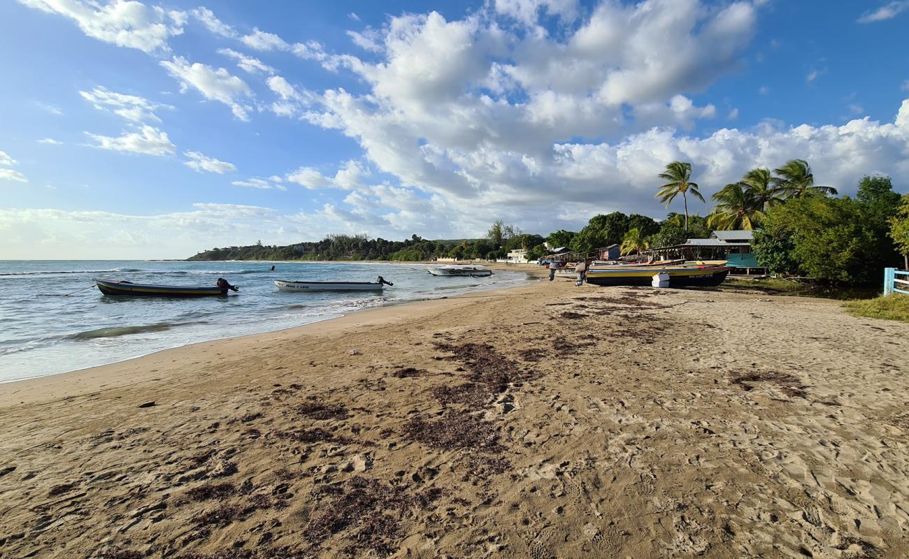 Frenchman Beach'in fotoğrafı i̇nce bej kum yüzey ile