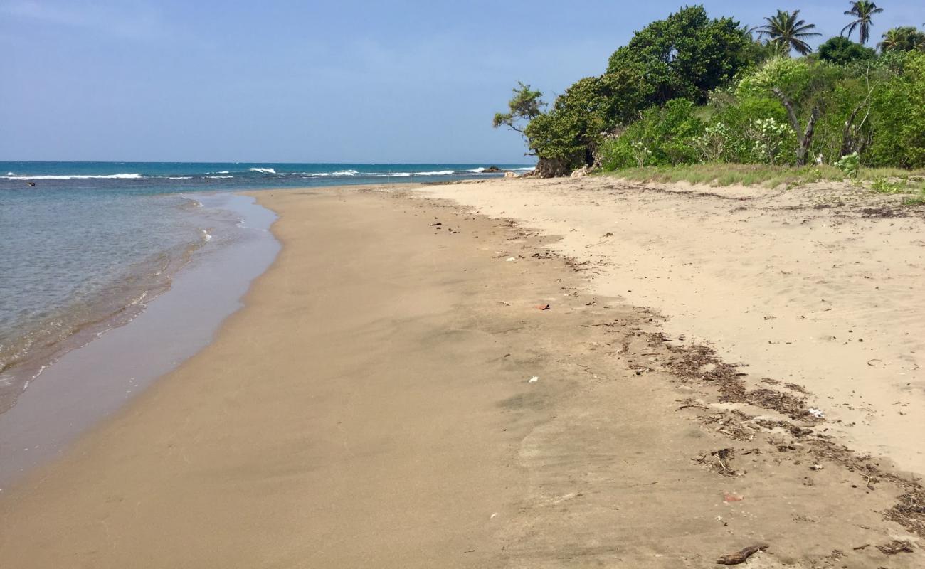 Billy's Bay Beach'in fotoğrafı açık bej kum yüzey ile