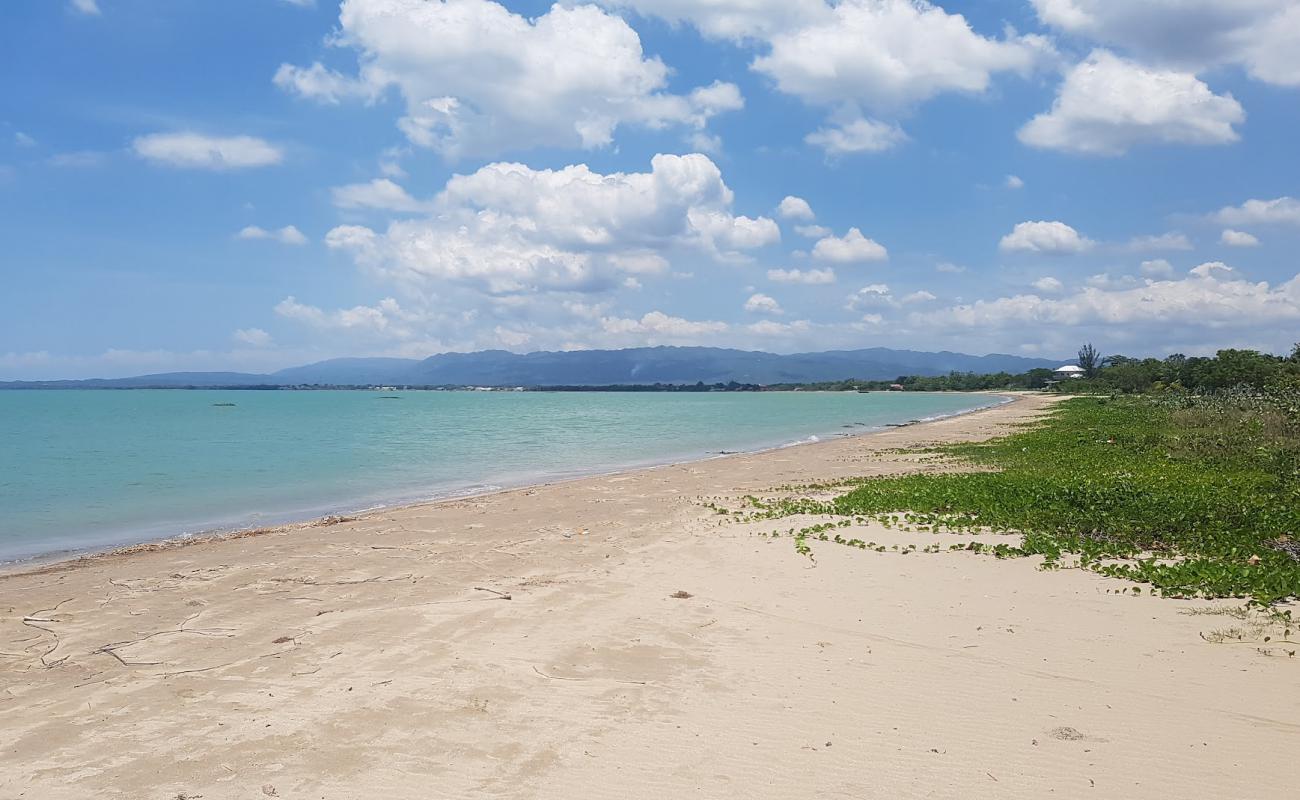 Parotee Free Beach'in fotoğrafı i̇nce bej kum yüzey ile