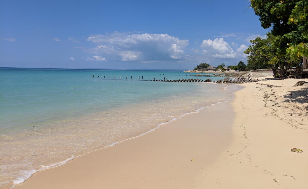 Belmont Sands'in fotoğrafı i̇nce bej kum yüzey ile