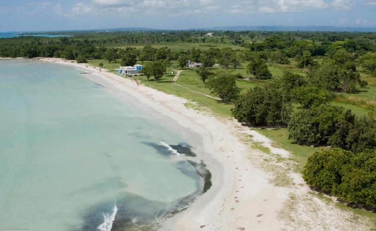 Westmoreland Parish Beach'in fotoğrafı açık bej kum yüzey ile