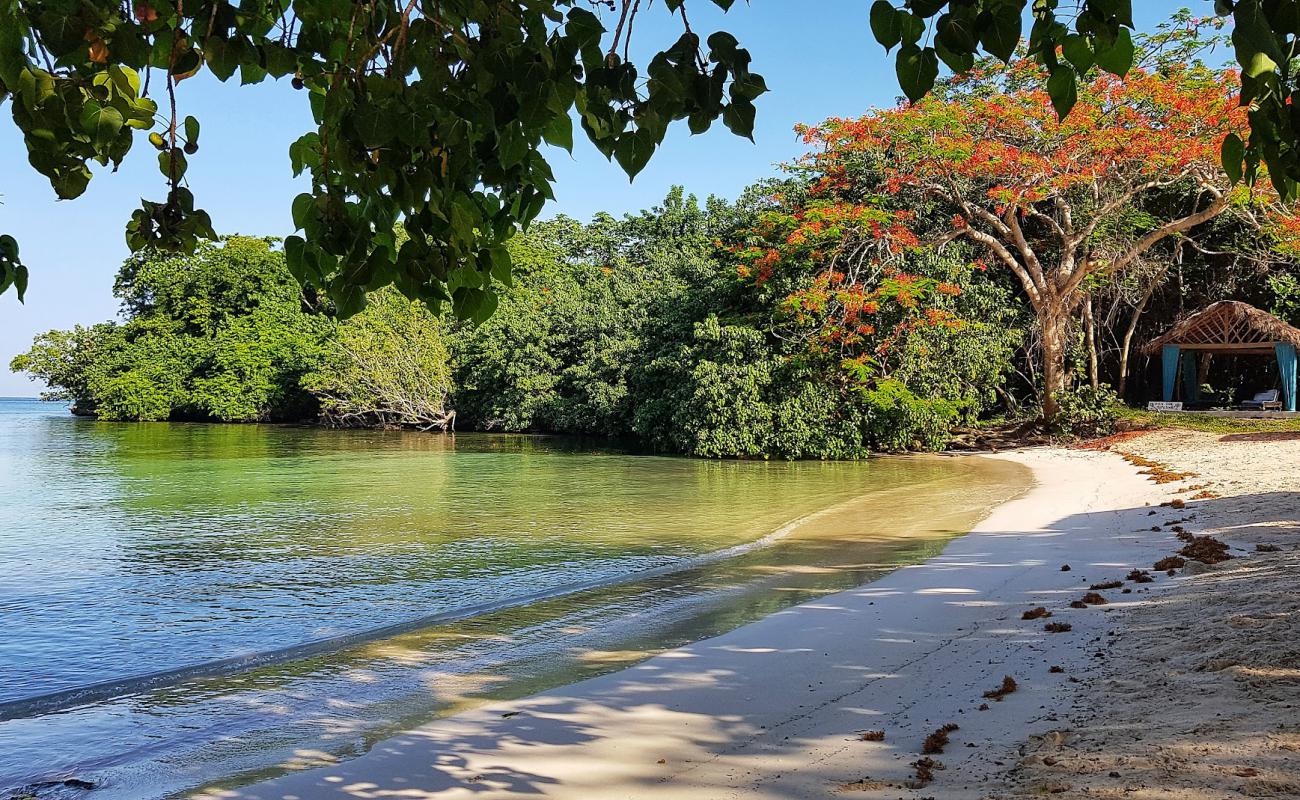 Half Moon Beach'in fotoğrafı beyaz kum yüzey ile