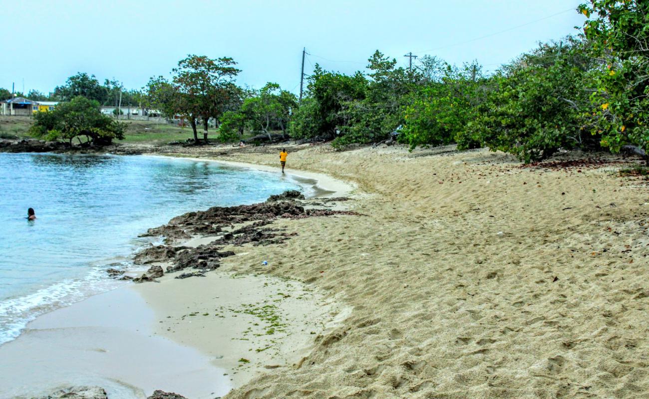 Bull's Bay Beach'in fotoğrafı açık bej kum yüzey ile
