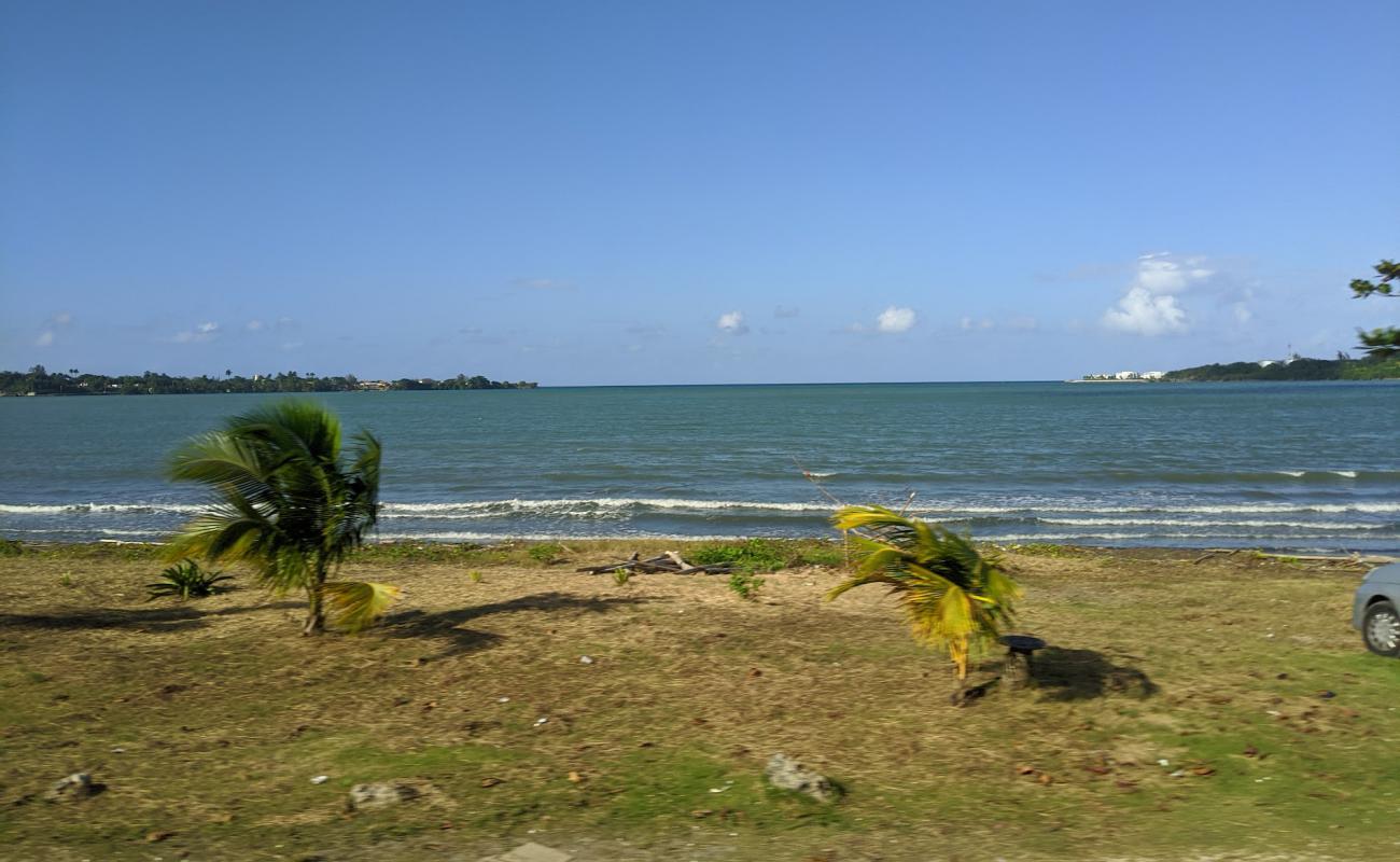 Lucea Beach'in fotoğrafı gri kum yüzey ile