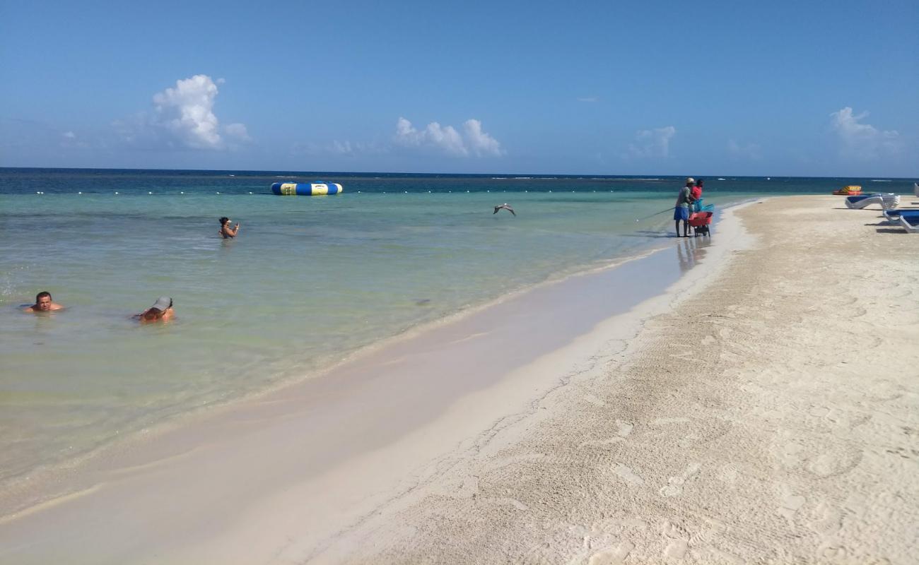 Tropical Bliss'in fotoğrafı i̇nce bej kum yüzey ile